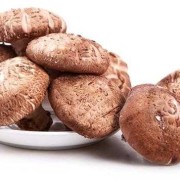 孕妇吃香菇好不好,怀孕期能吃香菇吗