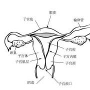 外阴肿疼痒怎么回事,
