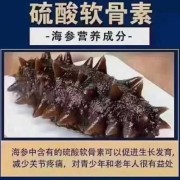 孕期能不能吃海参（怀孕期间能吃海参吗？我看同事买了好多海参，这么补可以吃的吗）