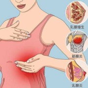 怀孕25周了乳房有点疼是怎么回事,易孕期乳房痛正常的吗