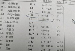 孕期谷丙转氨酶偏高（肝功能谷丙转氨酶升高是怎么回事）