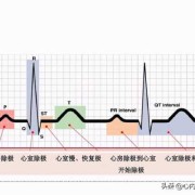 什么是窦性心律?s-t段异常时怎么回事5,胎儿窦性心律什么意思