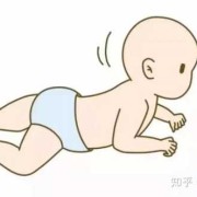 蜷着的胎儿是男孩女孩（蜷着的胎儿是男孩女孩）