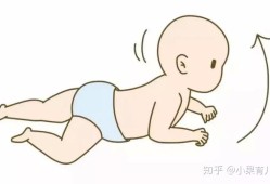 蜷着的胎儿是男孩女孩（蜷着的胎儿是男孩女孩）