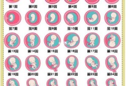 胎儿几个月能查出是否有畸形呢？怀孕四个月了，需要检查什么,胎儿在几个月容易畸形呢