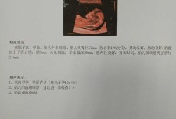 胎儿NT正常值是多少,胎儿NT值是什么意思