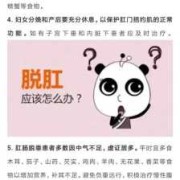 孕妇便秘脱肛怎么办,孕期肛脱怎么办