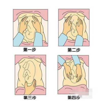 胎儿什么时候入盆(什么是入盆?胎儿什么时候入盆) 第2张 胎儿什么时候入盆(什么是入盆?胎儿什么时候入盆) 第2张