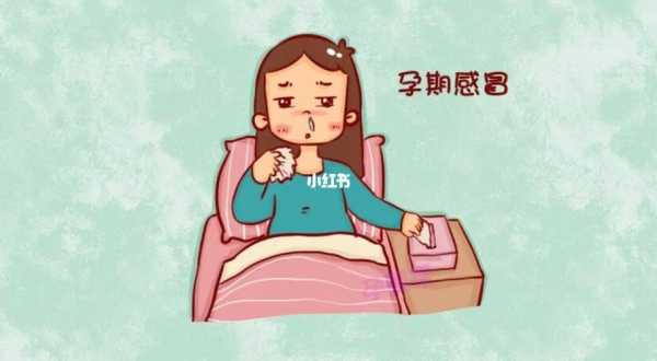 孕期感冒(孕妇感冒了怎么办) 第2张 孕期感冒(孕妇感冒了怎么办) 第2张