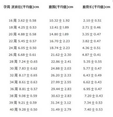 股骨长径是指胎儿什么(fl什么意思) 第1张 股骨长径是指胎儿什么(fl什么意思) 第1张