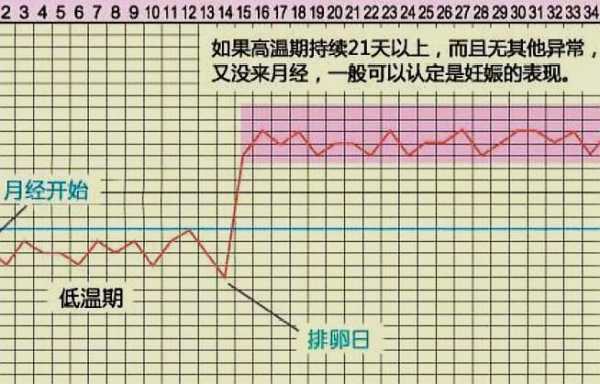 孕期怎么计算(怀孕具体的受精时间和着床的时间是什么时候) 第2张 孕期怎么计算(怀孕具体的受精时间和着床的时间是什么时候) 第2张