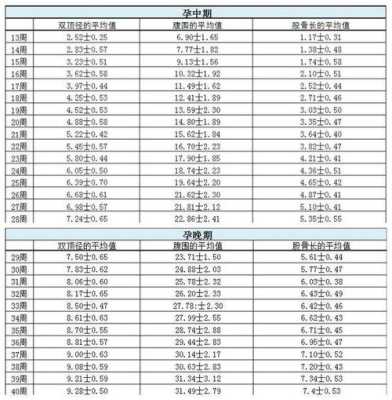 hc是胎儿的什么（胎儿hc什么意思）  第2张