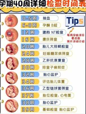 我怀孕满32周了，我想问一下孕32周后多久去医院检查一次比较好,孕期检查时间表一览表  第1张