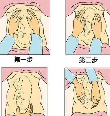 胎儿臀位是什么原因,胎儿臀位是什么姿势图 第2张 胎儿臀位是什么原因,胎儿臀位是什么姿势图 第2张