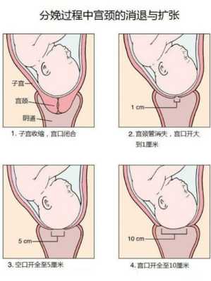 孕期的检查(孕妇都要做内检吗?如何检查啊) 第3张 孕期的检查(孕妇都要做内检吗?如何检查啊) 第3张