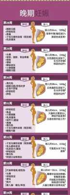 胎儿入盆时间(胎儿入盆时间是三十几周) 第3张 胎儿入盆时间(胎儿入盆时间是三十几周) 第3张