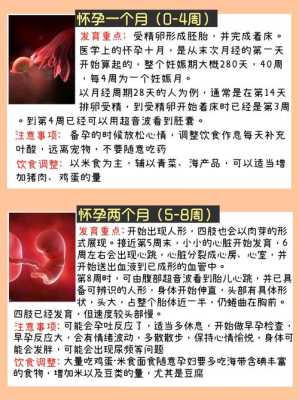 孕期胎儿偏小怎么补(孕期胎儿偏小怎么补充营养) 第3张 孕期胎儿偏小怎么补(孕期胎儿偏小怎么补充营养) 第3张