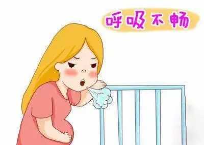 孕妇胸闷气短胎儿会缺氧吗(怀孕31周了,晚上睡觉感觉呼吸困难,胎儿会不会缺氧) 第1张 孕妇胸闷气短胎儿会缺氧吗(怀孕31周了,晚上睡觉感觉呼吸困难,胎儿会不会缺氧) 第1张