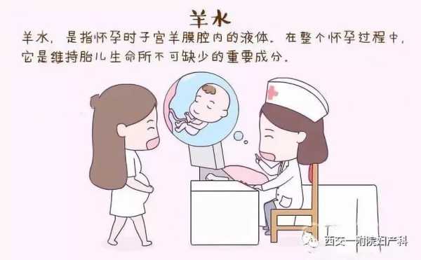 羊水过少对胎儿有什么影响,羊水少对胎儿有影响吗补羊水最快的十种食物羊 第2张 羊水过少对胎儿有什么影响,羊水少对胎儿有影响吗补羊水最快的十种食物羊 第2张