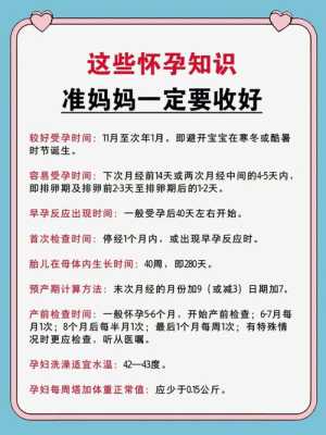 孕期护理(初期怀孕注意事项是有些什么的呀?应该如何护理好) 第1张 孕期护理(初期怀孕注意事项是有些什么的呀?应该如何护理好) 第1张