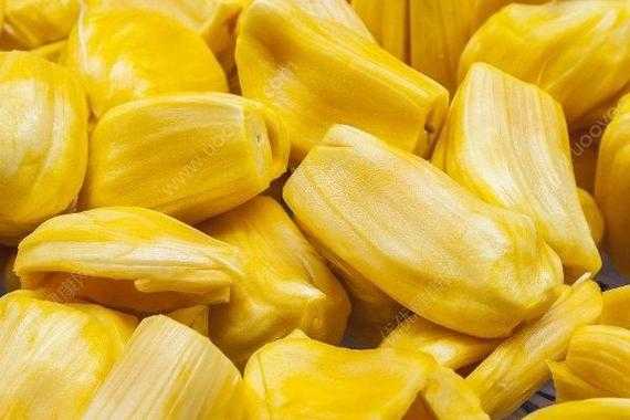 孕妇吃菠萝蜜对胎儿好吗(13个月宝宝可以吃菠萝蜜吗) 第2张 孕妇吃菠萝蜜对胎儿好吗(13个月宝宝可以吃菠萝蜜吗) 第2张