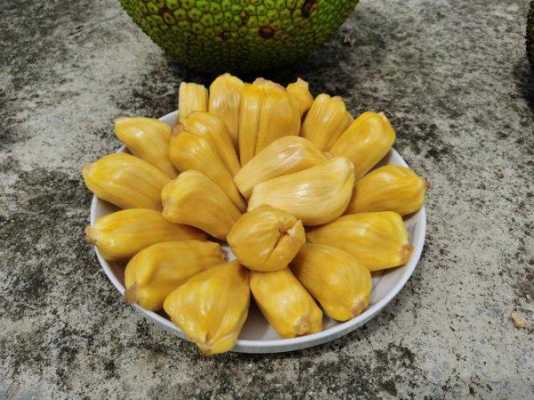 孕妇吃菠萝蜜对胎儿好吗(13个月宝宝可以吃菠萝蜜吗) 第3张 孕妇吃菠萝蜜对胎儿好吗(13个月宝宝可以吃菠萝蜜吗) 第3张