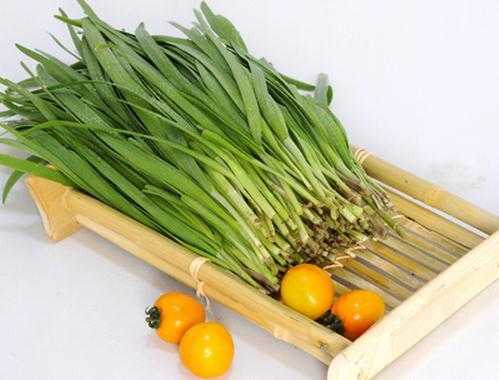 孕期可以吃韭菜吗(坐月子可以吃的蔬菜有哪些,坐月子吃哪些食物会引起回奶) 第2张 孕期可以吃韭菜吗(坐月子可以吃的蔬菜有哪些,坐月子吃哪些食物会引起回奶) 第2张