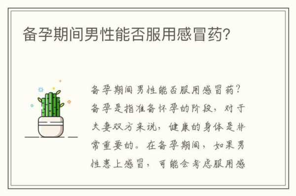 备孕期可以吃感冒药吗（男性备孕期可以吃感冒药吗）  第1张