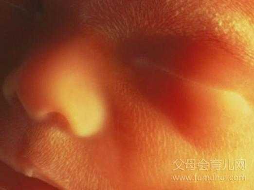 怀孕一个月的肚子有多大?应该没一点肚子吧,一个月的胎儿有多大图片 第2张 怀孕一个月的肚子有多大?应该没一点肚子吧,一个月的胎儿有多大图片 第2张