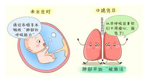 胎儿在羊水里怎么呼吸(胎儿在羊水里怎么呼吸视频) 第1张 胎儿在羊水里怎么呼吸(胎儿在羊水里怎么呼吸视频) 第1张