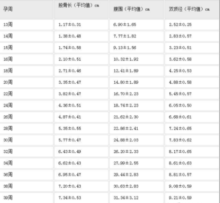 胎儿股骨长是什么意思（股骨长是什么意思）  第2张