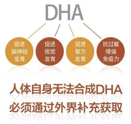 孕期什么时候补充dha(孕期什么时候补充dha最好呢) 第2张 孕期什么时候补充dha(孕期什么时候补充dha最好呢) 第2张