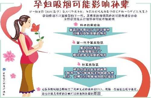 孕妇闻烟味对胎儿影响有多大?长期在吸烟的环境下生活,宝宝会怎么样,怀孕期间抽烟对胎儿有什么影响孩子能要吗 第1张 孕妇闻烟味对胎儿影响有多大?长期在吸烟的环境下生活,宝宝会怎么样,怀孕期间抽烟对胎儿有什么影响孩子能要吗 第1张