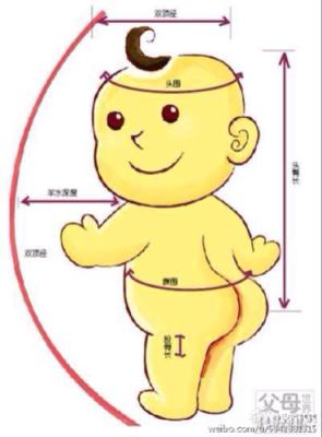 股骨径是指胎儿什么(股骨径是指胎儿什么部位) 第2张 股骨径是指胎儿什么(股骨径是指胎儿什么部位) 第2张
