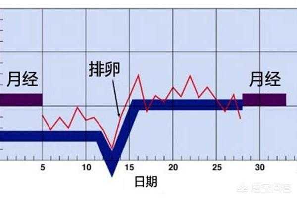 怀孕期间会排卵吗(女性怀孕期间会排卵吗) 第2张 怀孕期间会排卵吗(女性怀孕期间会排卵吗) 第2张