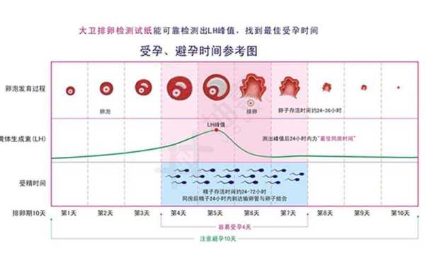 怀孕期间还会排卵吗(女生怀孕期间还会排卵吗) 第1张 怀孕期间还会排卵吗(女生怀孕期间还会排卵吗) 第1张