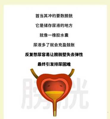 怀孕憋尿对胎儿有影响吗(孕妇怀孕憋尿对胎儿有影响吗) 第1张 怀孕憋尿对胎儿有影响吗(孕妇怀孕憋尿对胎儿有影响吗) 第1张