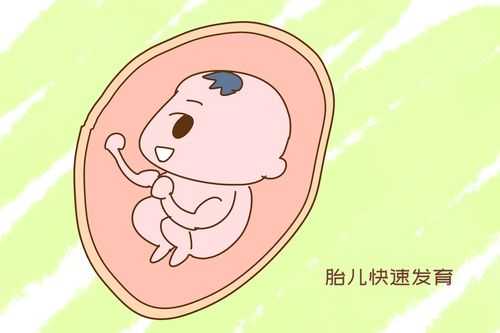 胎儿夜里一直动个不停(胎儿夜里一直动个不停是什么原因) 第2张 胎儿夜里一直动个不停(胎儿夜里一直动个不停是什么原因) 第2张