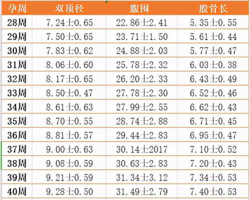 胎儿腿长看哪个数据(八到九个月的胎儿腿短是怎么回事) 第2张 胎儿腿长看哪个数据(八到九个月的胎儿腿短是怎么回事) 第2张
