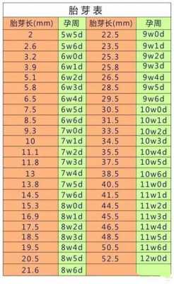 算孕期（算孕期从什么时候开始算）  第2张