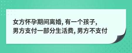 孕期离婚(孕期离婚) 第1张 孕期离婚(孕期离婚) 第1张
