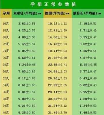 28周的胎儿一般是几斤重（28周双顶径多少正常）  第2张