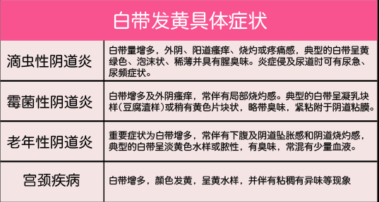 孕期白带发黄(孕妇有黄带正常吗) 第1张 孕期白带发黄(孕妇有黄带正常吗) 第1张