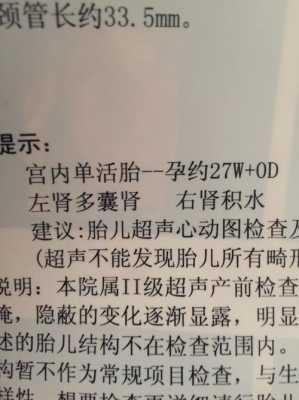 怎么能减轻胎儿肾积水,胎儿肾积水是什么原因造成的怎么治疗  第2张