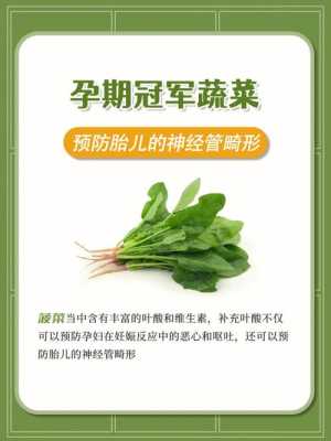 孕妇可以吃哪些青菜?怀孕期间可以吃哪些青菜补充维生素,冬季孕妇吃什么蔬菜对胎儿好 第2张 孕妇可以吃哪些青菜?怀孕期间可以吃哪些青菜补充维生素,冬季孕妇吃什么蔬菜对胎儿好 第2张