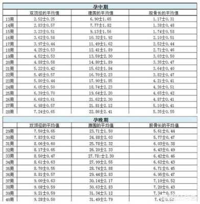 39周胎儿发育标准数据（孕39周后胎儿还会长多少呢）  第1张