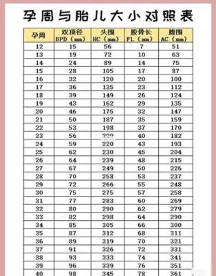 39周胎儿发育标准数据（孕39周后胎儿还会长多少呢）  第2张