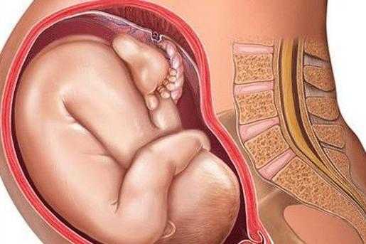 宝宝在肚子里打嗝感觉是什么样的,胎儿打嗝什么感觉孕22周  第2张