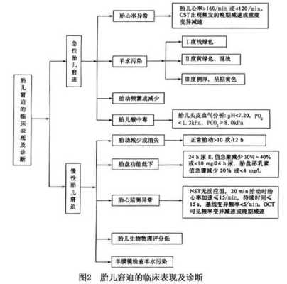 胎儿窘迫的临床表现（胎儿窘迫的临床表现正确的是）  第1张
