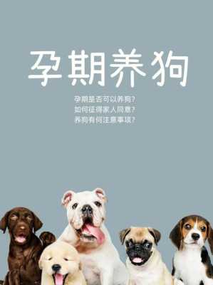 怀孕期间可以养狗吗(怀孕期间可以养狗吗?对胎儿有什么影响呢?) 第2张 怀孕期间可以养狗吗(怀孕期间可以养狗吗?对胎儿有什么影响呢?) 第2张